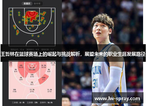 王哲林在篮球赛场上的崛起与挑战解析，展望未来的职业生涯发展路径